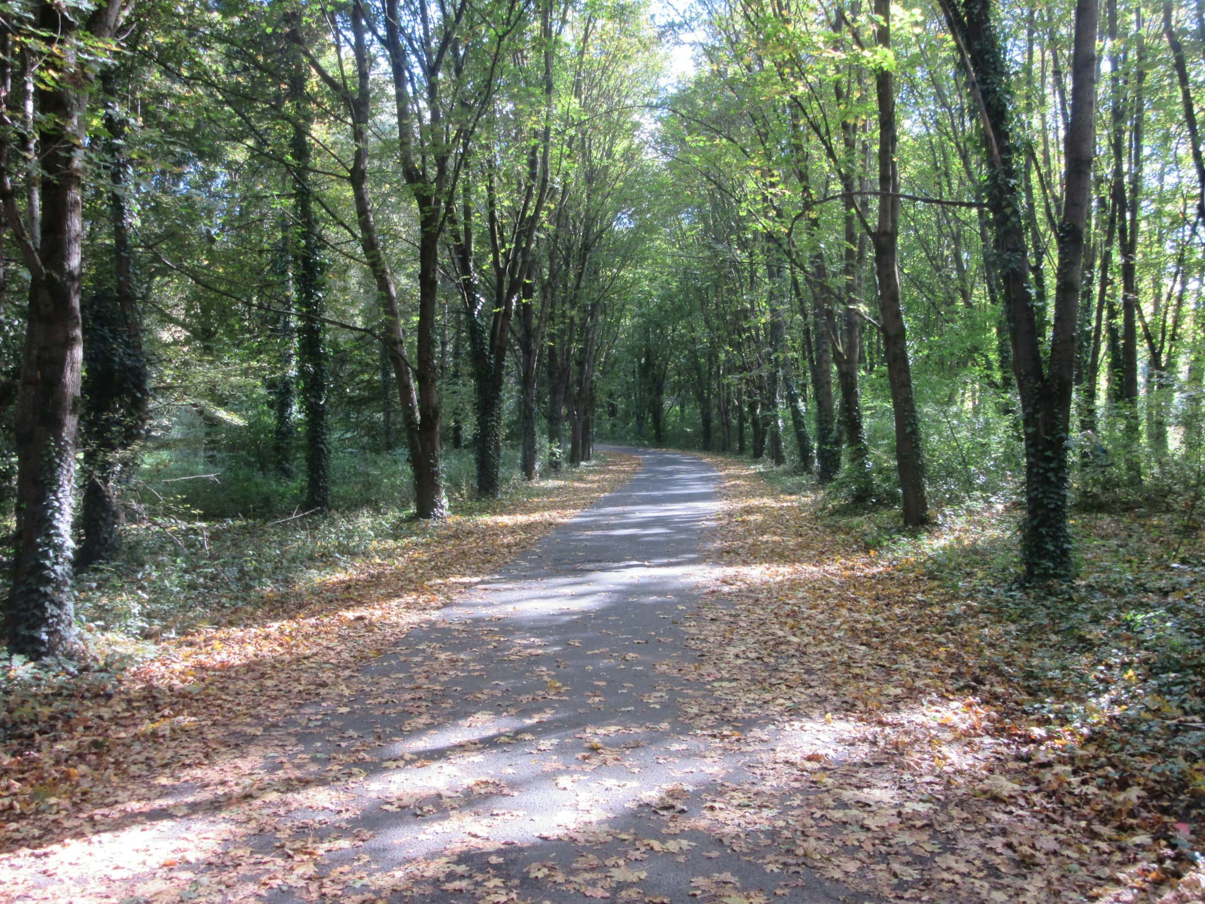 Jacksonville Parks - Hiking, Biking & Kayaking Close to UNF 5 Jacksonville Baldwin Trail - Biking Near UNF campus - ExploreUNF