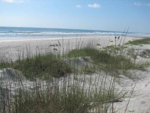 Little Talbot Island State Park, Jacksonville, FL - ExploreUNF.com