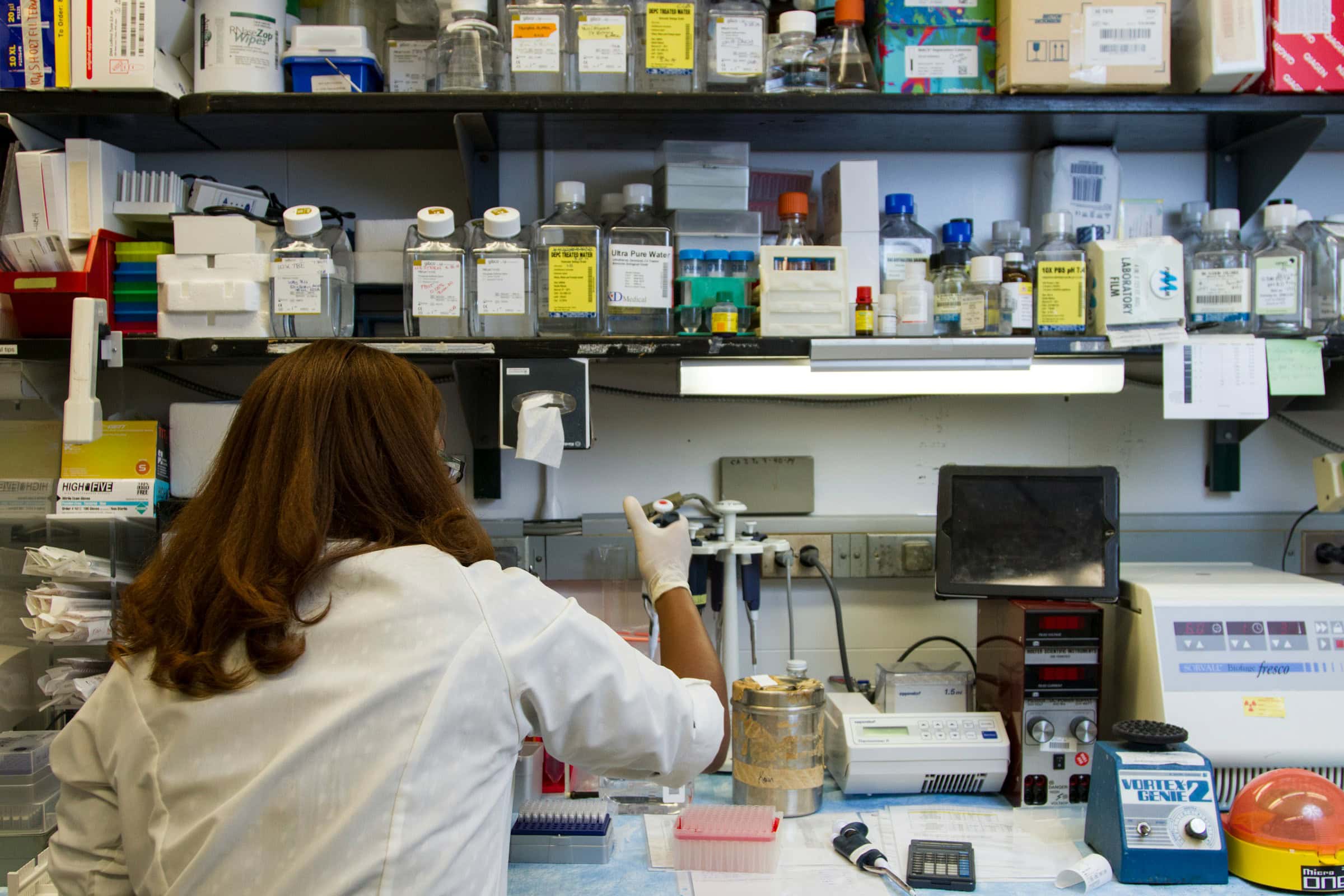 Undergraduate Research Programs at UNF in Jacksonville